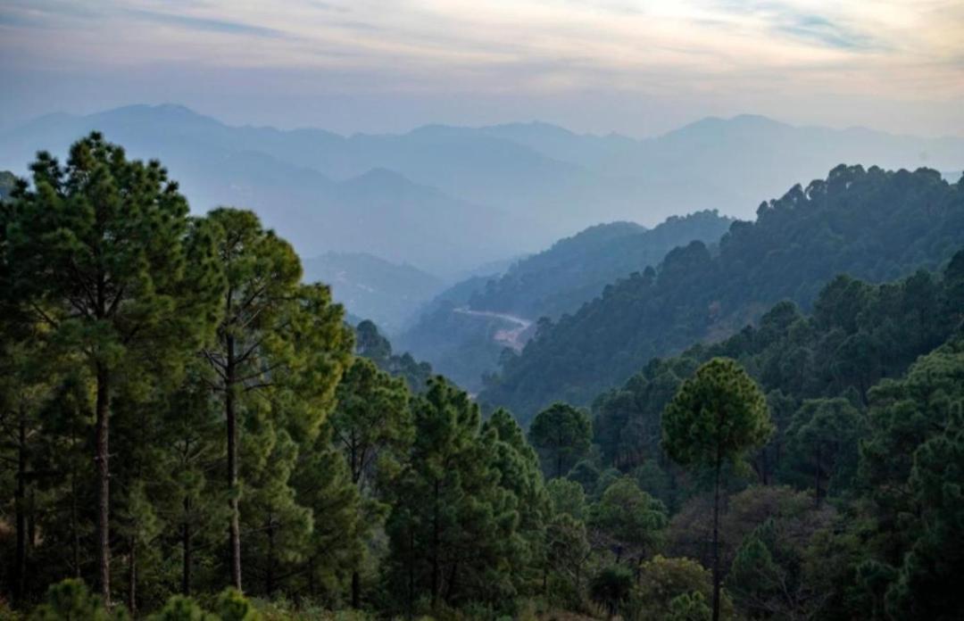 The Kasauli Western Uphills I Serviced Apartments I Pvt Balcony I Peacefull Area I By Exotic Stays 외부 사진