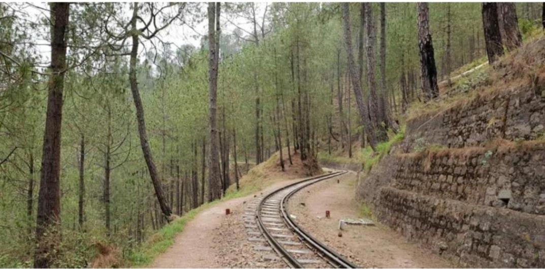 The Kasauli Western Uphills I Serviced Apartments I Pvt Balcony I Peacefull Area I By Exotic Stays 외부 사진